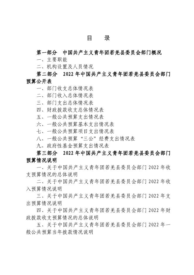 若羌县团委.pdf