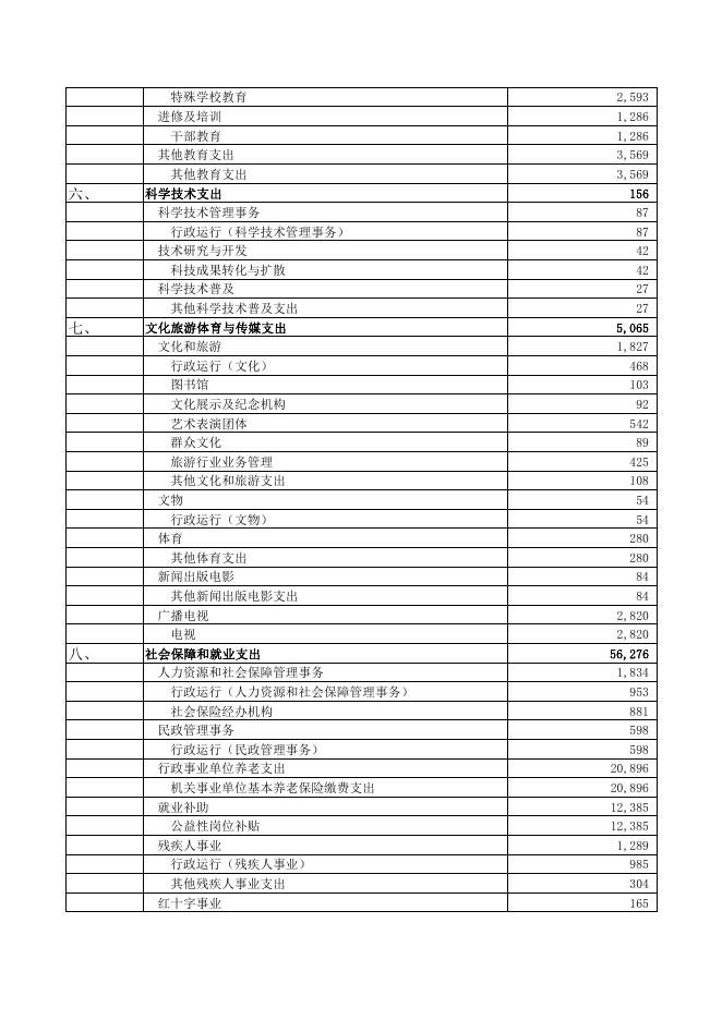 一般公共预算本级支出表.pdf