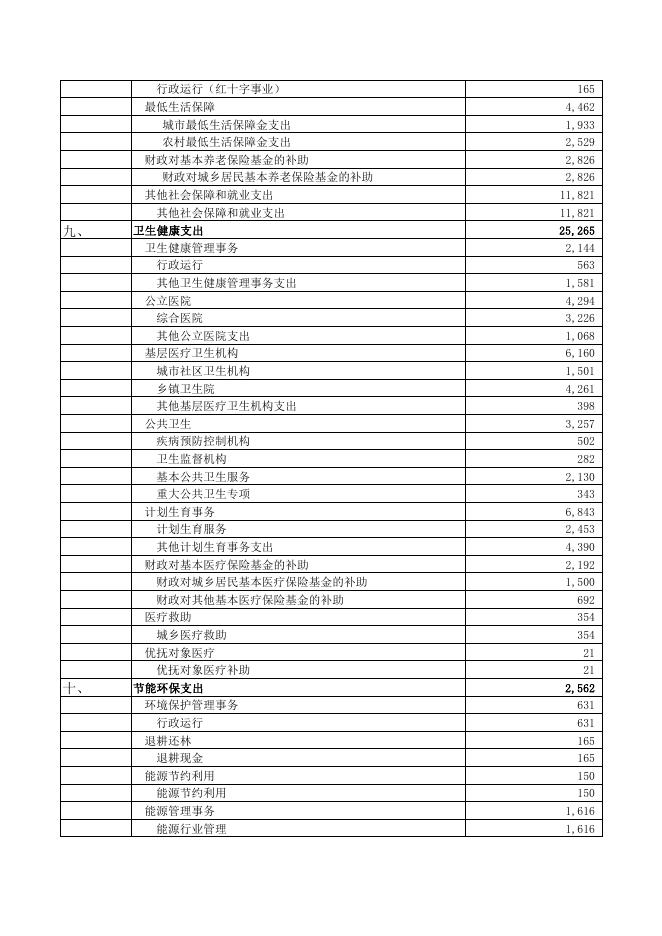 一般公共预算本级支出表.pdf