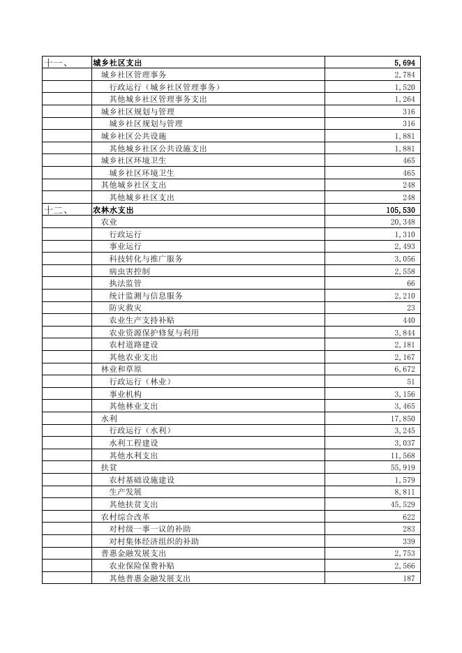 一般公共预算本级支出表.pdf