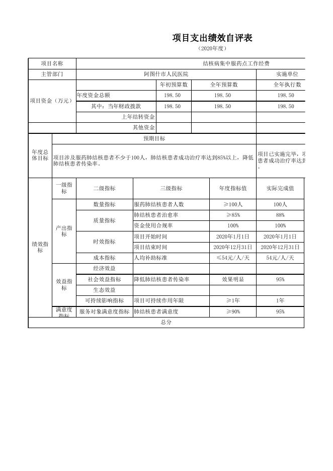 阿图什市人民医院2020年度项目支出自评表.xlsx