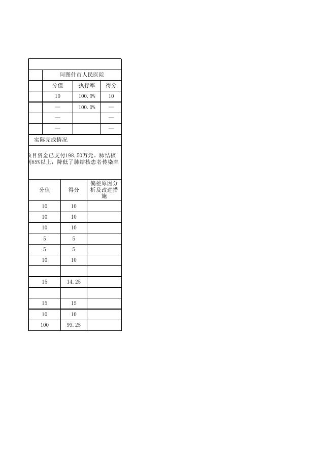 阿图什市人民医院2020年度项目支出自评表.xlsx