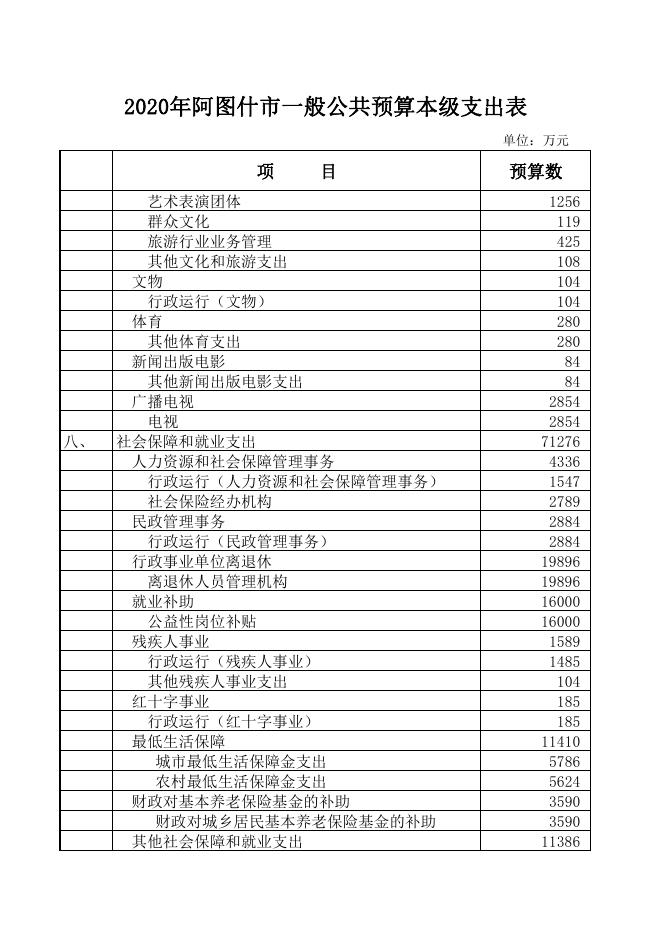 2020年阿图什市一般公共预算本级支出表.pdf