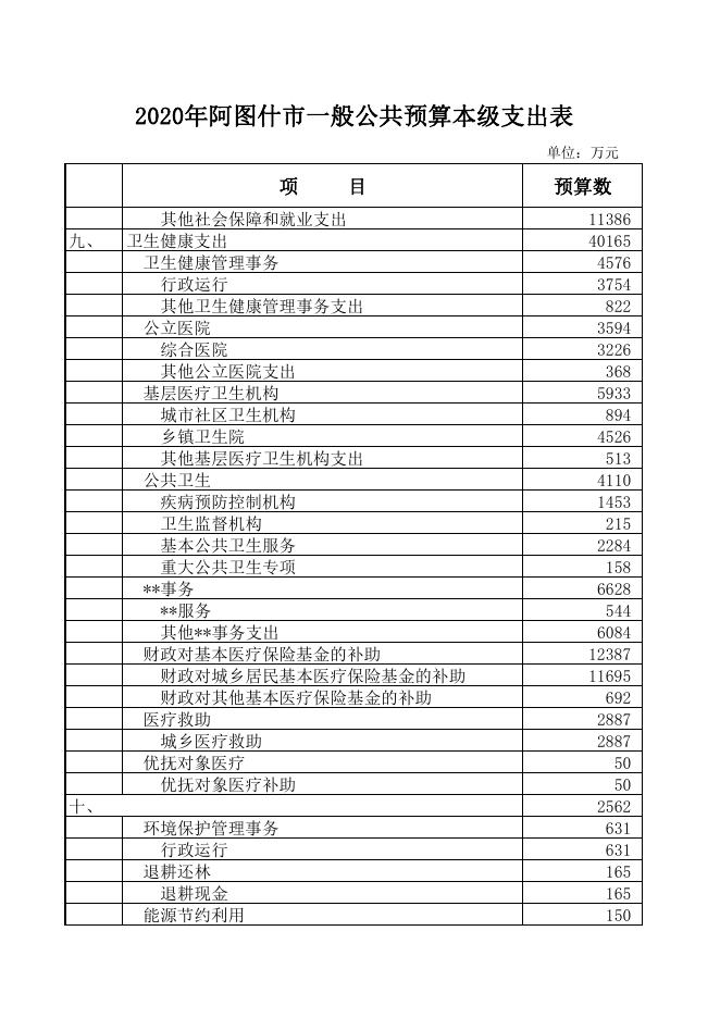 2020年阿图什市一般公共预算本级支出表.pdf