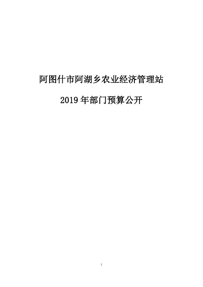 阿图什市阿湖乡农经站2019年度部门预算公开说明.pdf