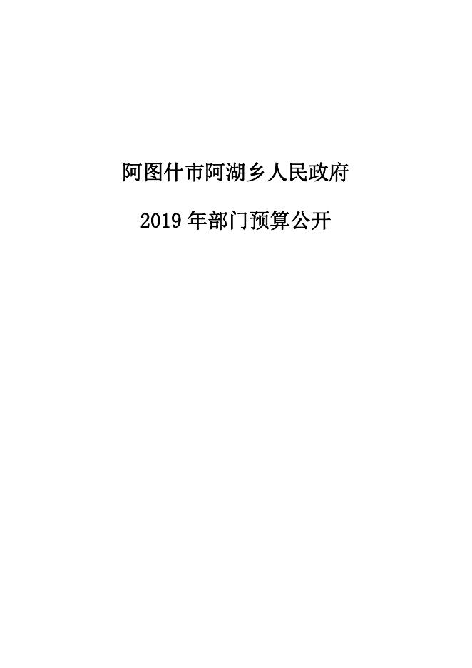 阿图什市阿湖乡人民政府2019年度部门预算公开说明.pdf