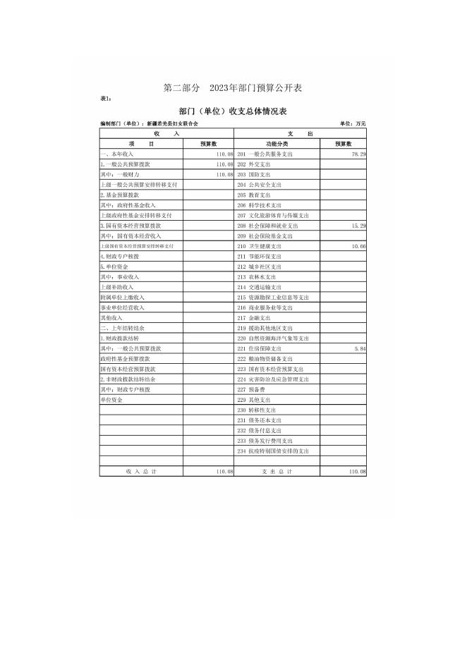 713002-新疆若羌县妇女联合会2023年部门预算公开.pdf