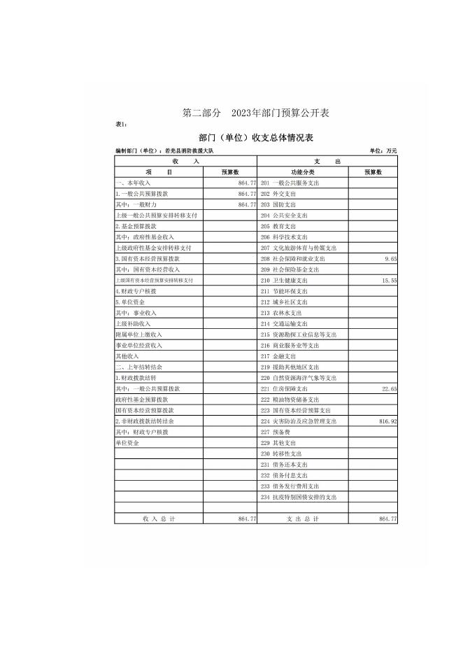 450004-若羌县消防救援大队2023年单位预算公开.pdf