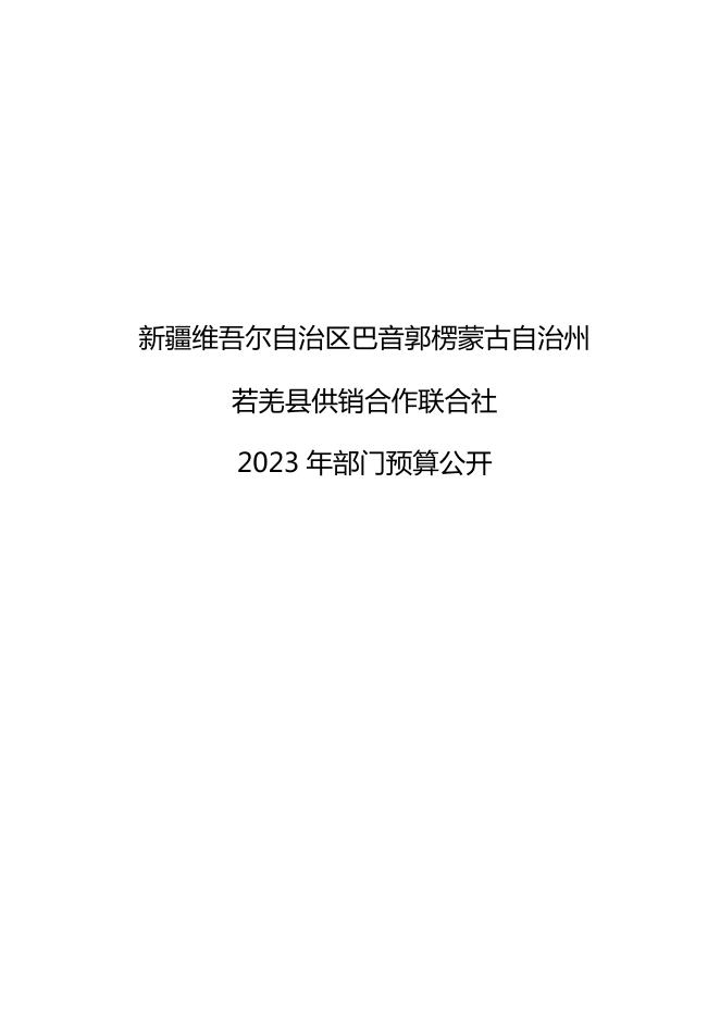 442002-若羌县供销合作联合社2023年部门预算公开.pdf