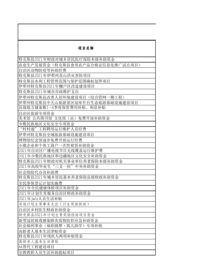 2021年度新疆伊犁特克斯县项目支出绩效评价汇总表.xlsx