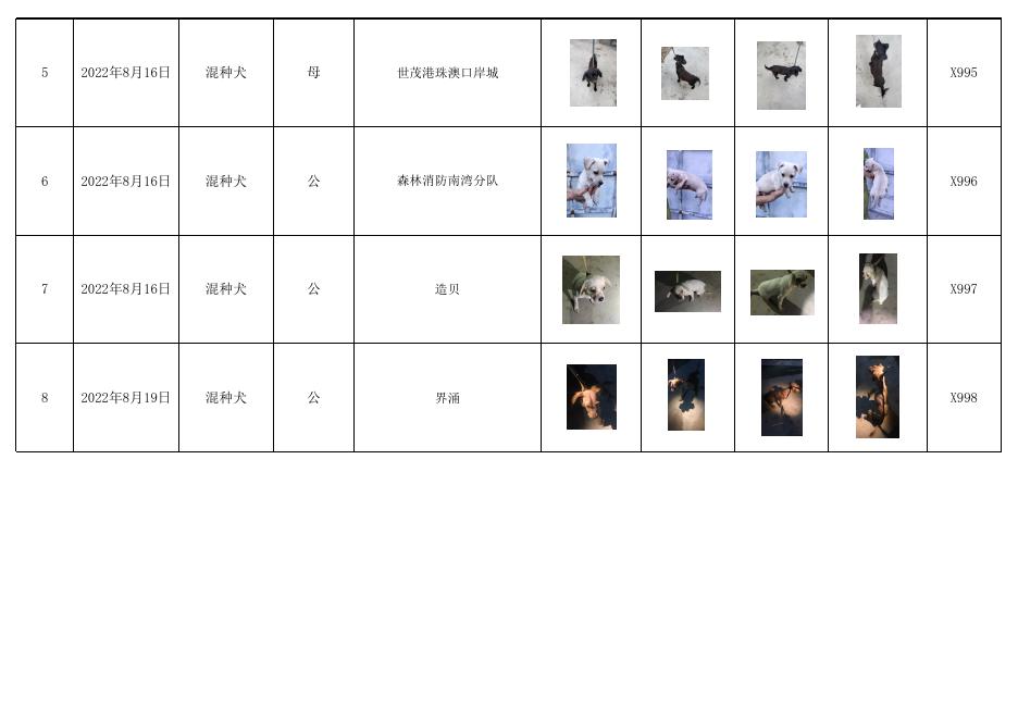 珠海市犬只留检通告(2022年50号）.xls