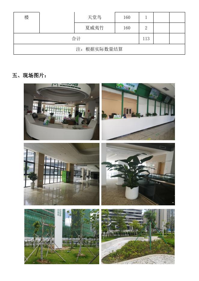珠海市慢性病防治中心植物租摆及绿化养护服务项目调研内容.doc