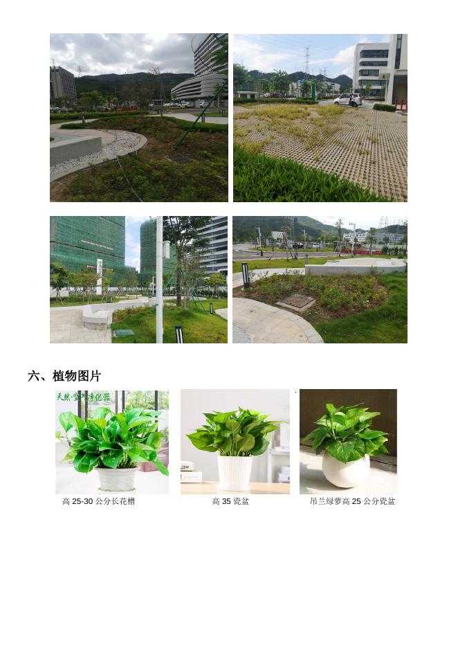 珠海市慢性病防治中心植物租摆及绿化养护服务项目调研内容.doc