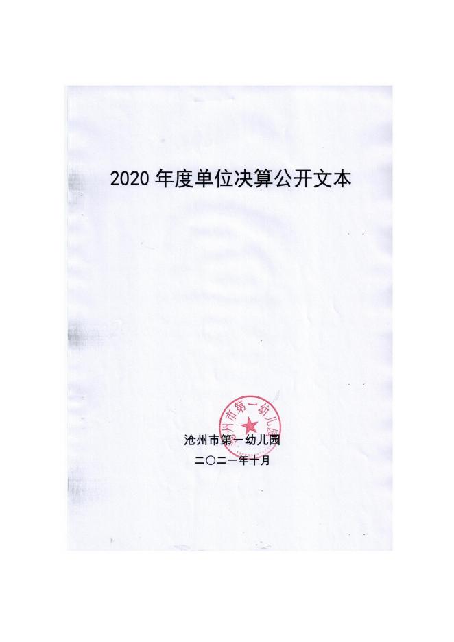 沧州市第一幼儿园2020年单位决算公开.pdf