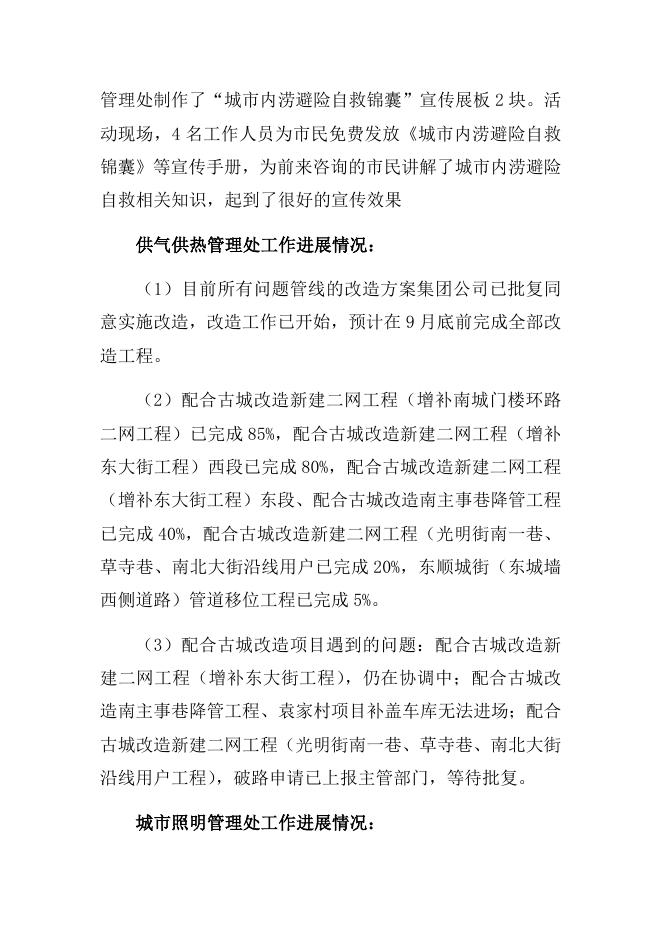市容市貌整治百日行动工作简报第9期.docx