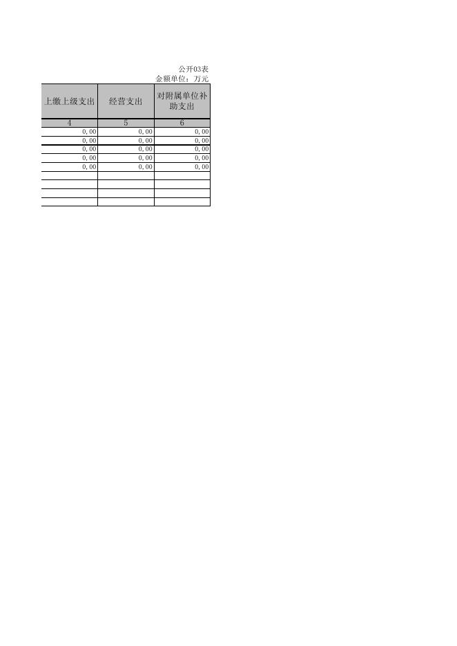 朔州市朔城区城市市容市貌管理监察大队2019决算公开表组.XLS.xls