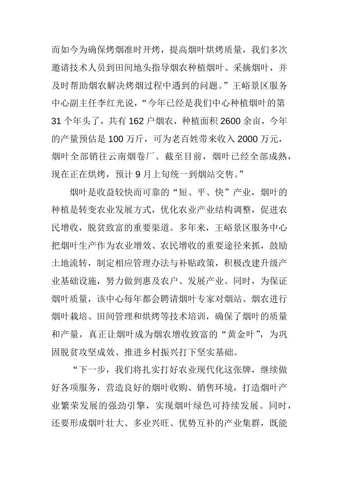 烟叶采收烘烤忙.docx