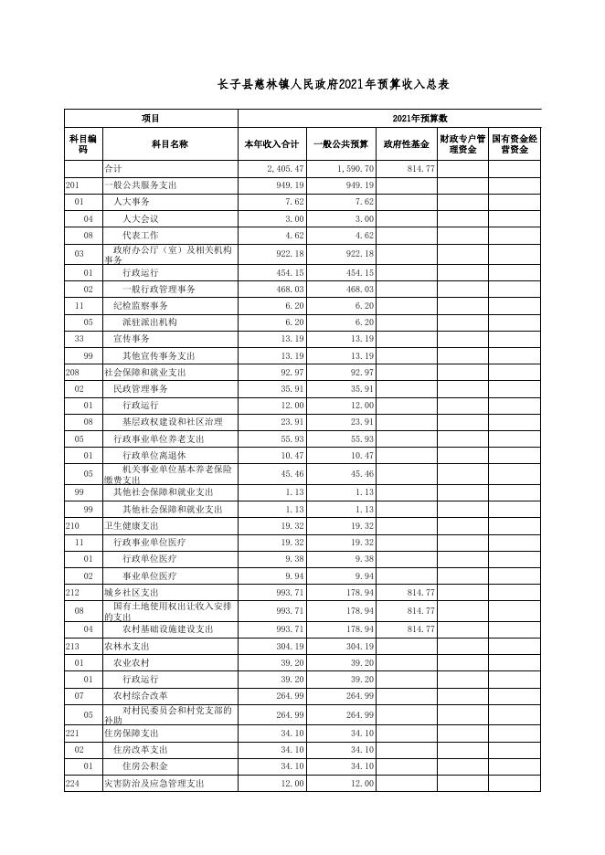 长子县慈林镇人民政府2021年预算公开.xls