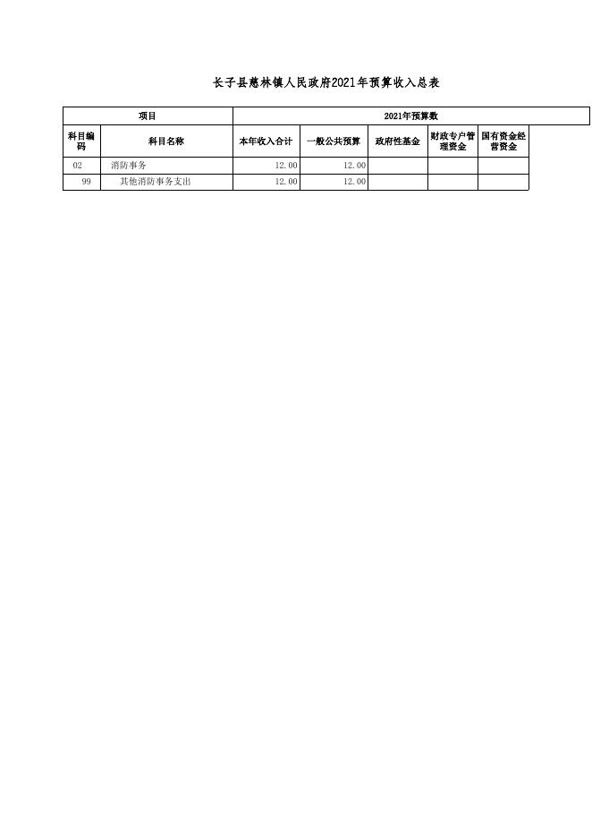 长子县慈林镇人民政府2021年预算公开.xls