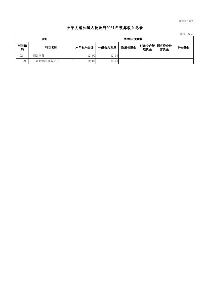 长子县慈林镇人民政府2021年预算公开.xls