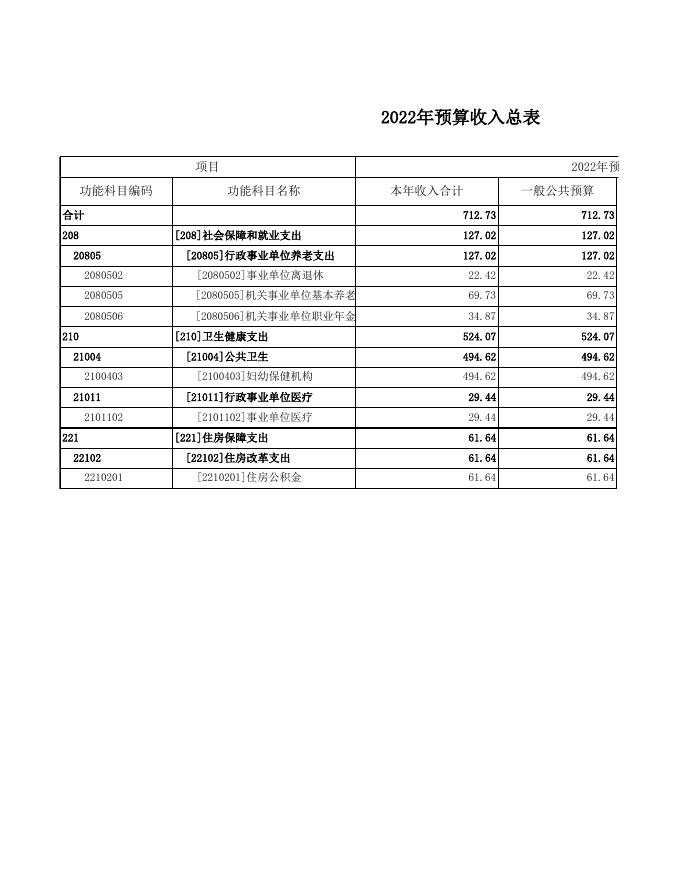 妇幼保健计划生育服务中心2022年预算表格.xls