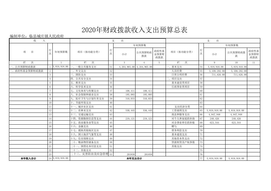2020年部门收支总表.xls