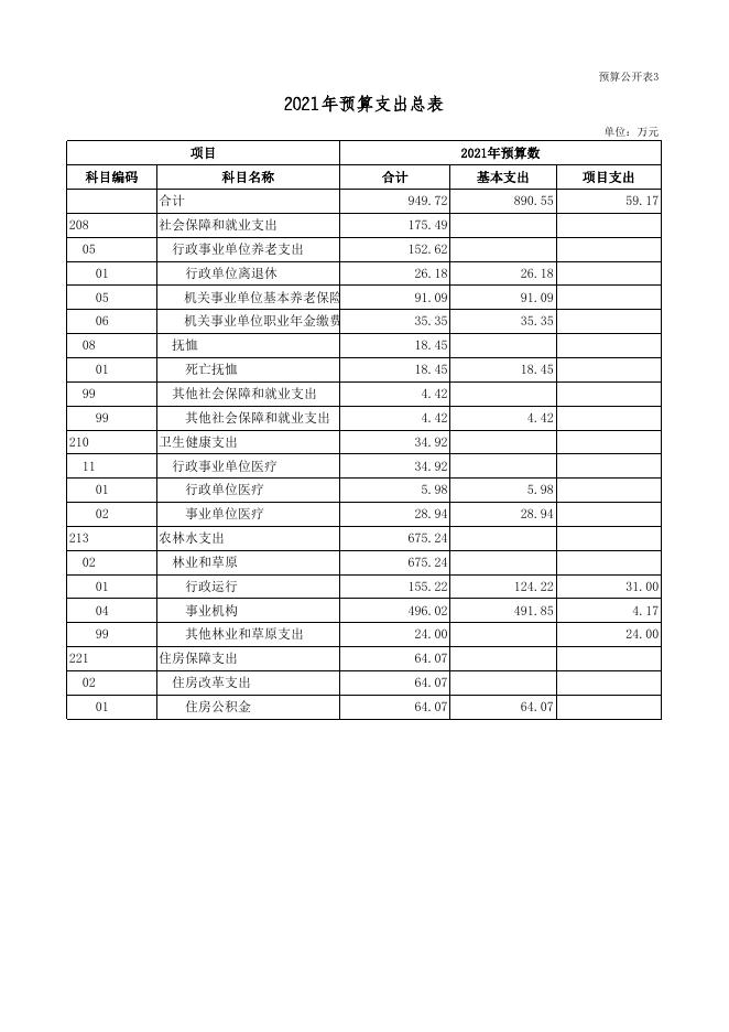 2021年预算收支总表.xls