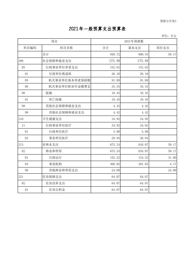 2021年预算收支总表.xls