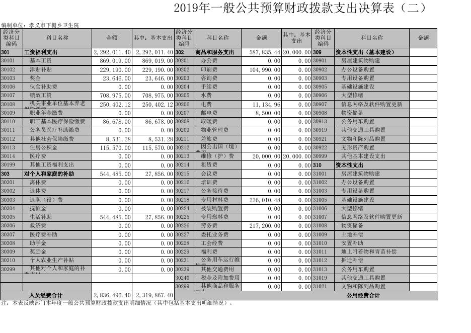 1.孝义市下栅乡卫生院2019年部门决算信息公开表.xls
