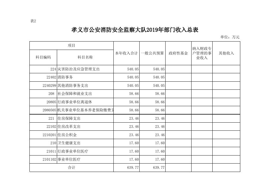 孝义市公安消防安全监察大队2019年部门预算公开表.xlsx
