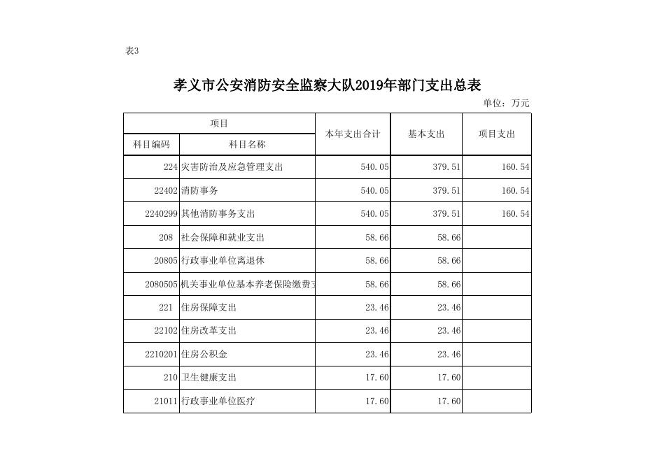 孝义市公安消防安全监察大队2019年部门预算公开表.xlsx