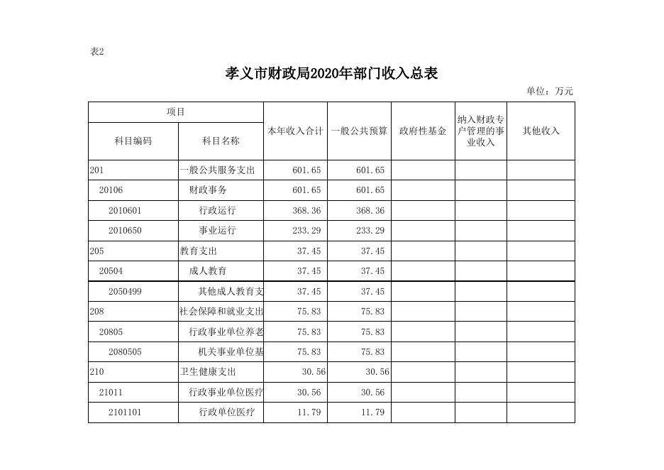 孝义市财政局2020年部门预算公开表.xlsx