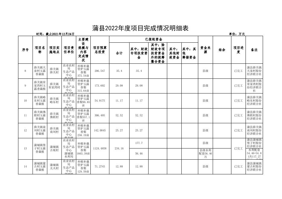 2022年度项目完成情况明细表.xlsx