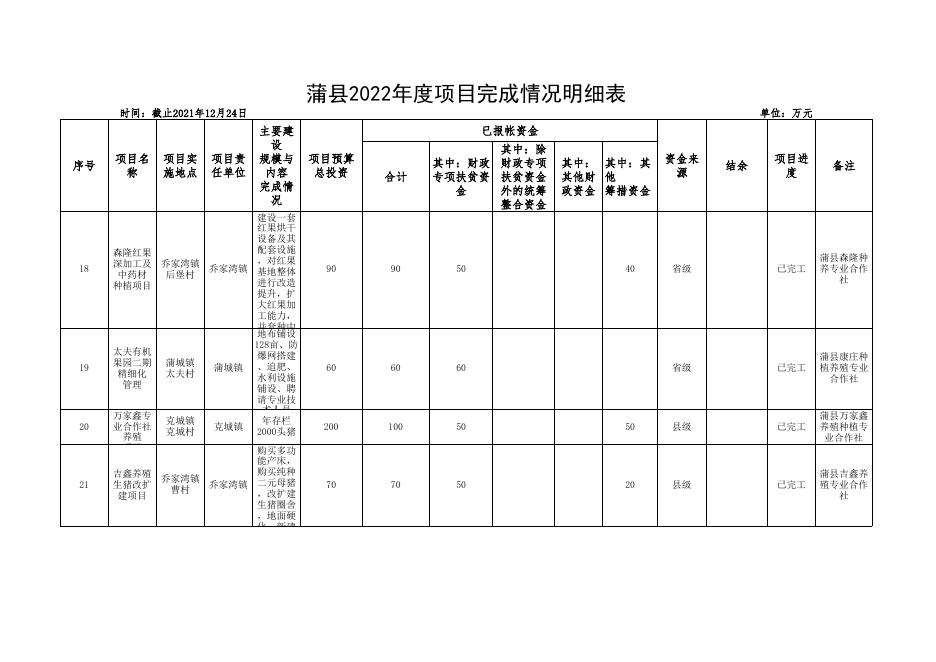 2022年度项目完成情况明细表.xlsx