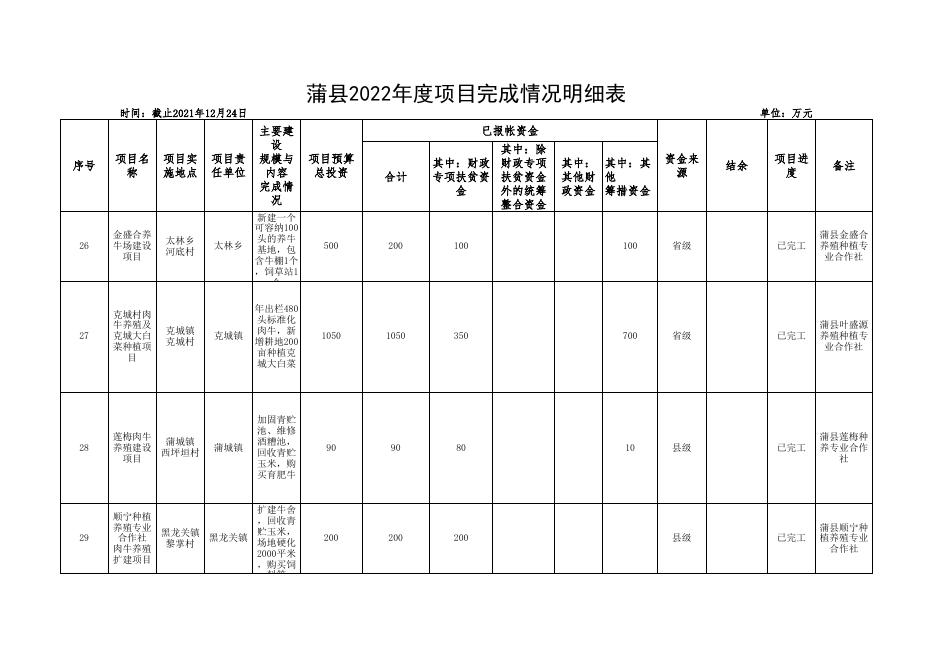 2022年度项目完成情况明细表.xlsx