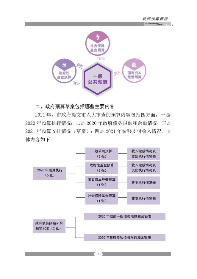 2021年政府预算解读.doc