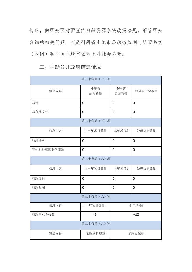 大宁县自然资源局政府信息公开工作年度报告.docx
