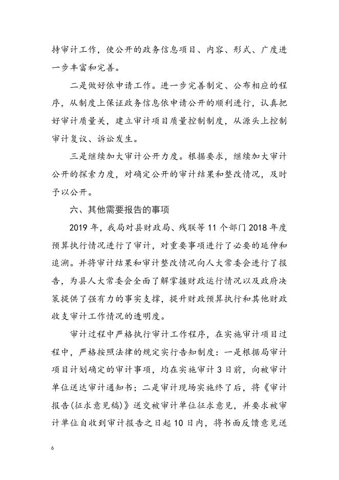 2019年审计局信息公开年报.doc