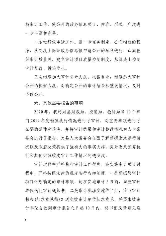 大宁县审计局2020年度信息公开年报.pdf