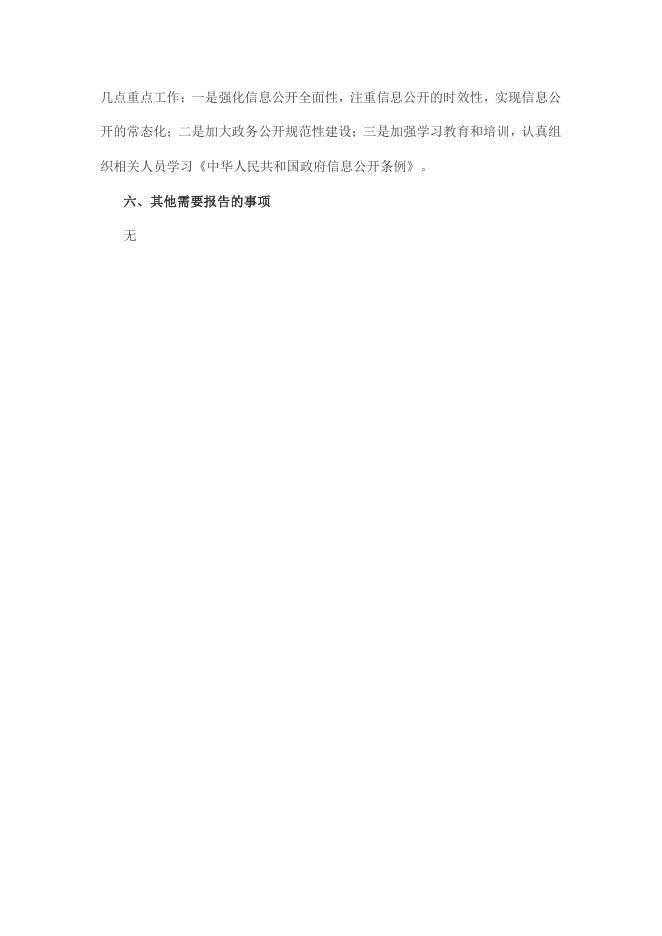 大宁县工信局2020年政府信息公开工作年报.pdf