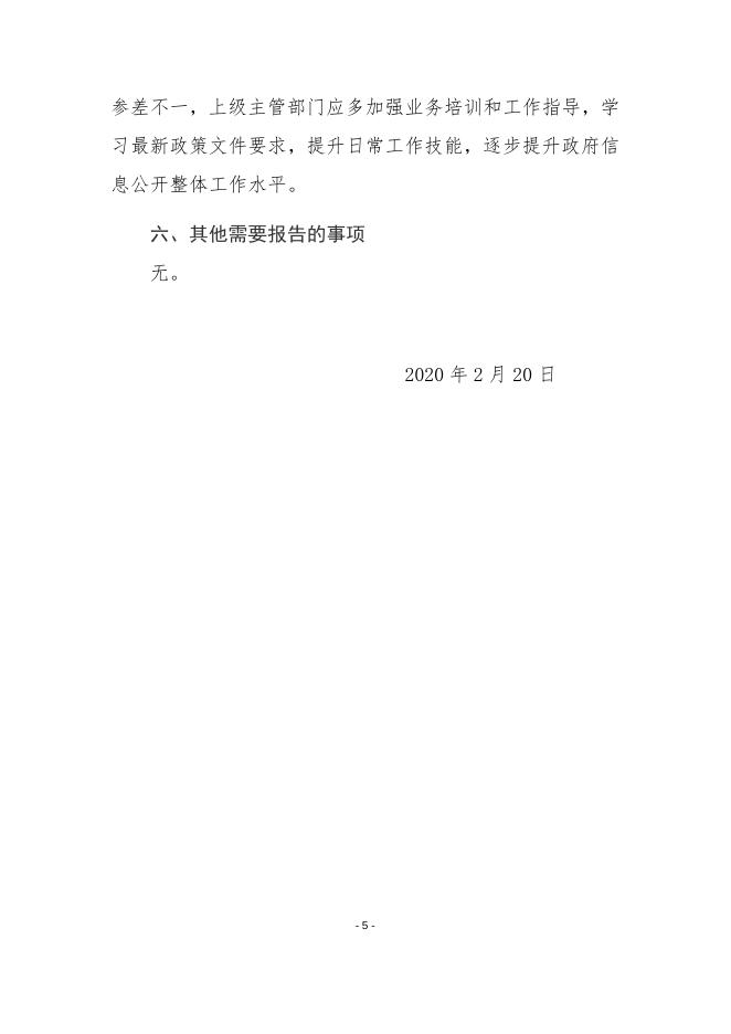 大宁县2019年政府信息公开年度报告.docx