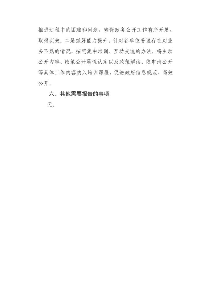 大宁县人民政府2021年信息公开年报.pdf